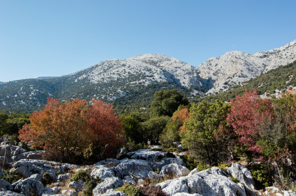 l' autunno nella Sardegna del Lanaitto